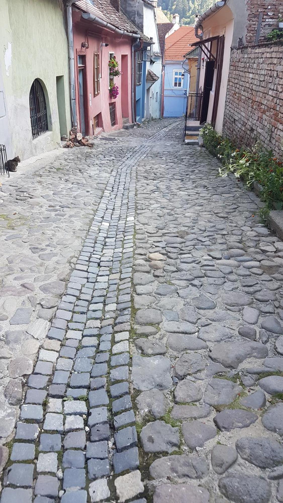 Stradela Cetatii Apartment Sighişoara Exteriér fotografie